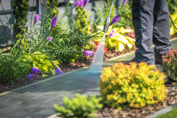 Best Driveway Pressure Washing  in Spring City, TN